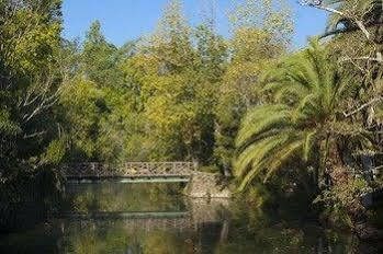 Termas Da Curia Spa Resort Kültér fotó