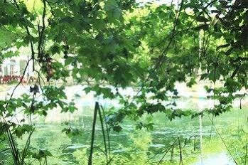Termas Da Curia Spa Resort Kültér fotó